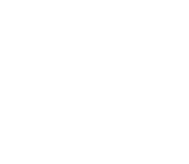 Logo slide